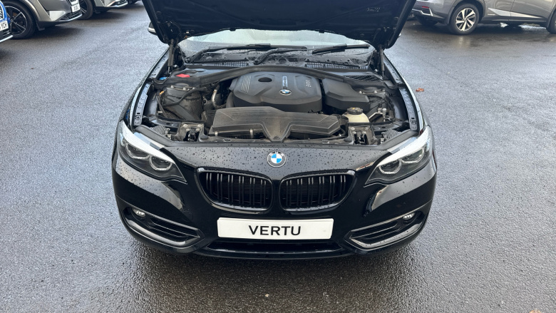 BMW 2 Series 218i Sport 2dr [Nav] Petrol Coupe